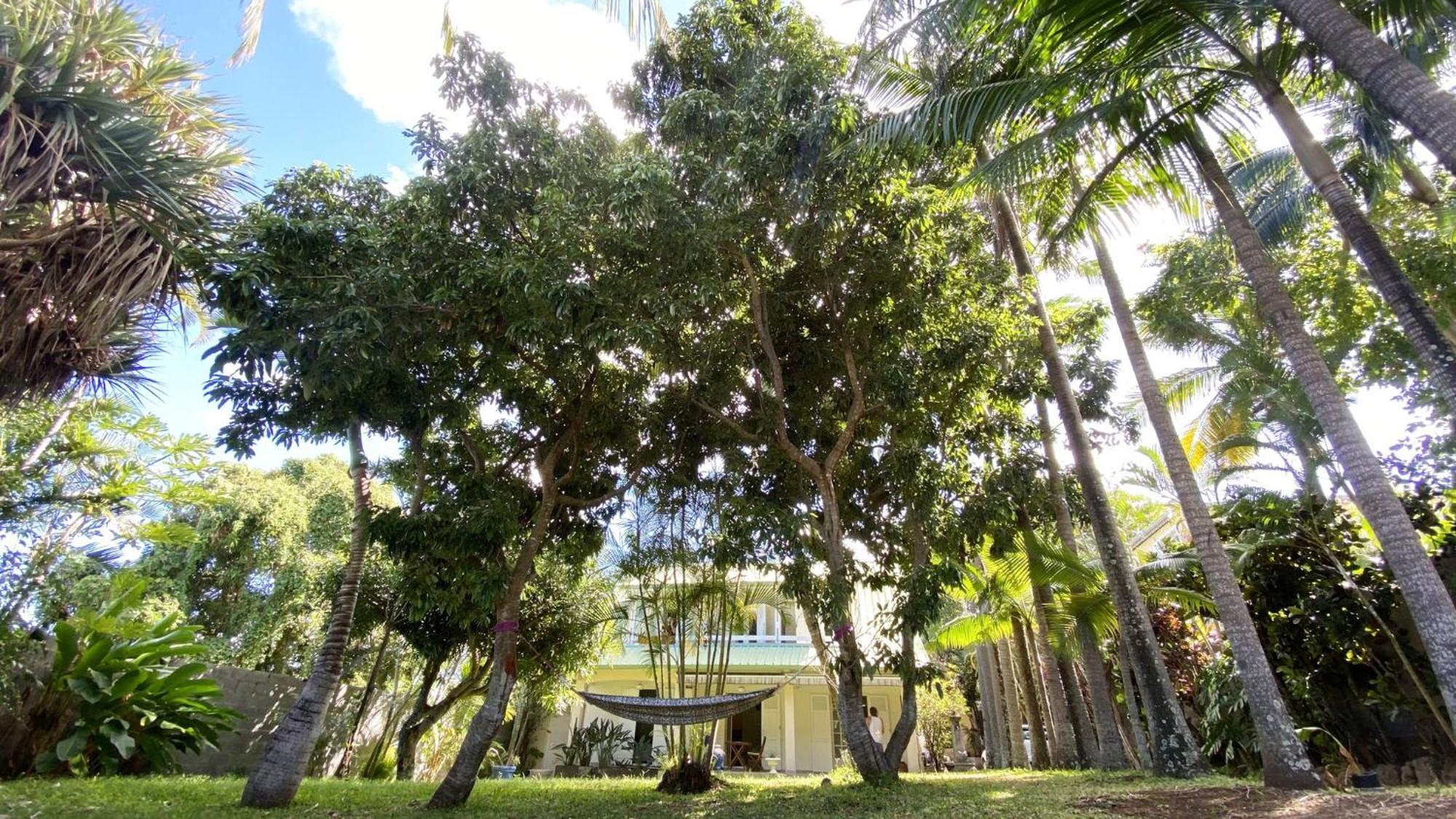 Coliver - Coliving A La Reunion แซ็ง-ปีแยร์ ภายนอก รูปภาพ