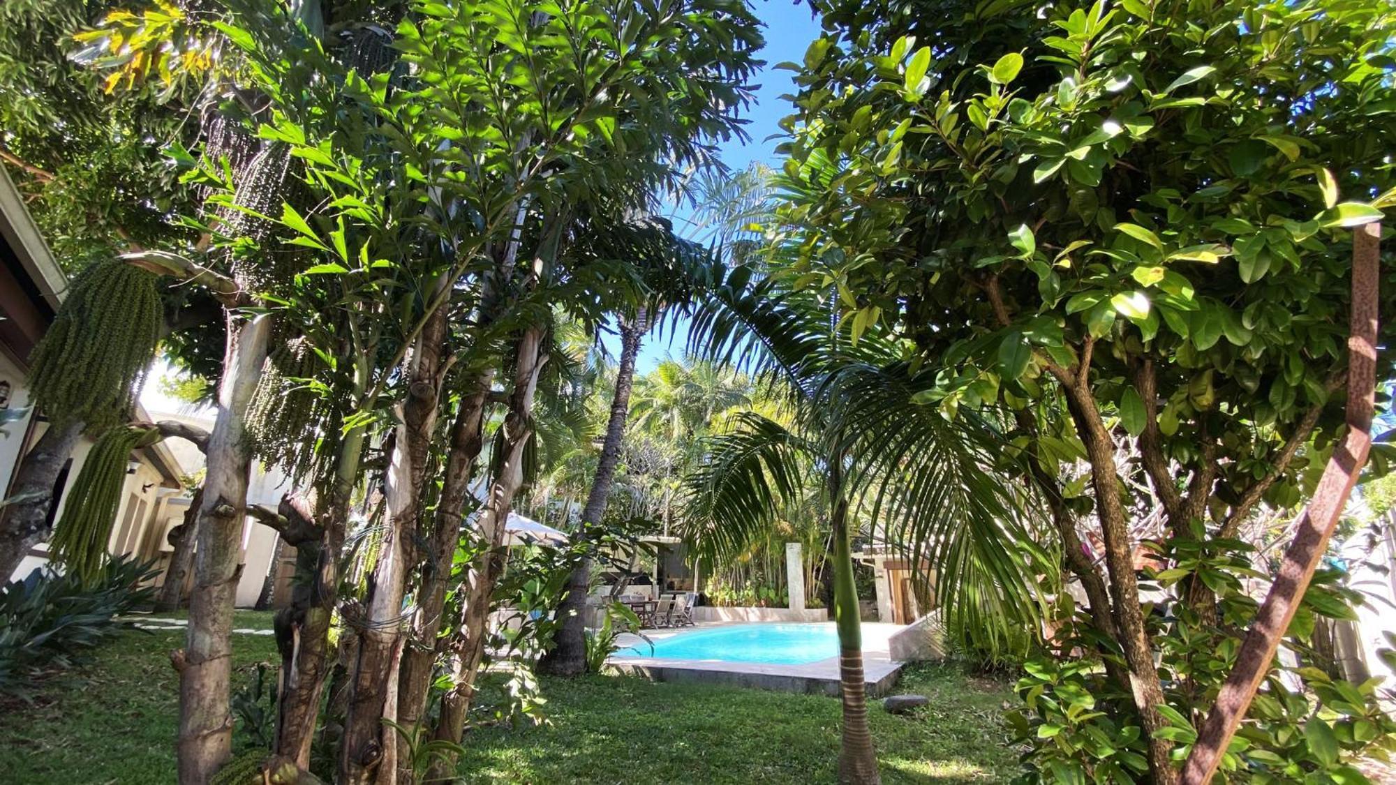 Coliver - Coliving A La Reunion แซ็ง-ปีแยร์ ภายนอก รูปภาพ