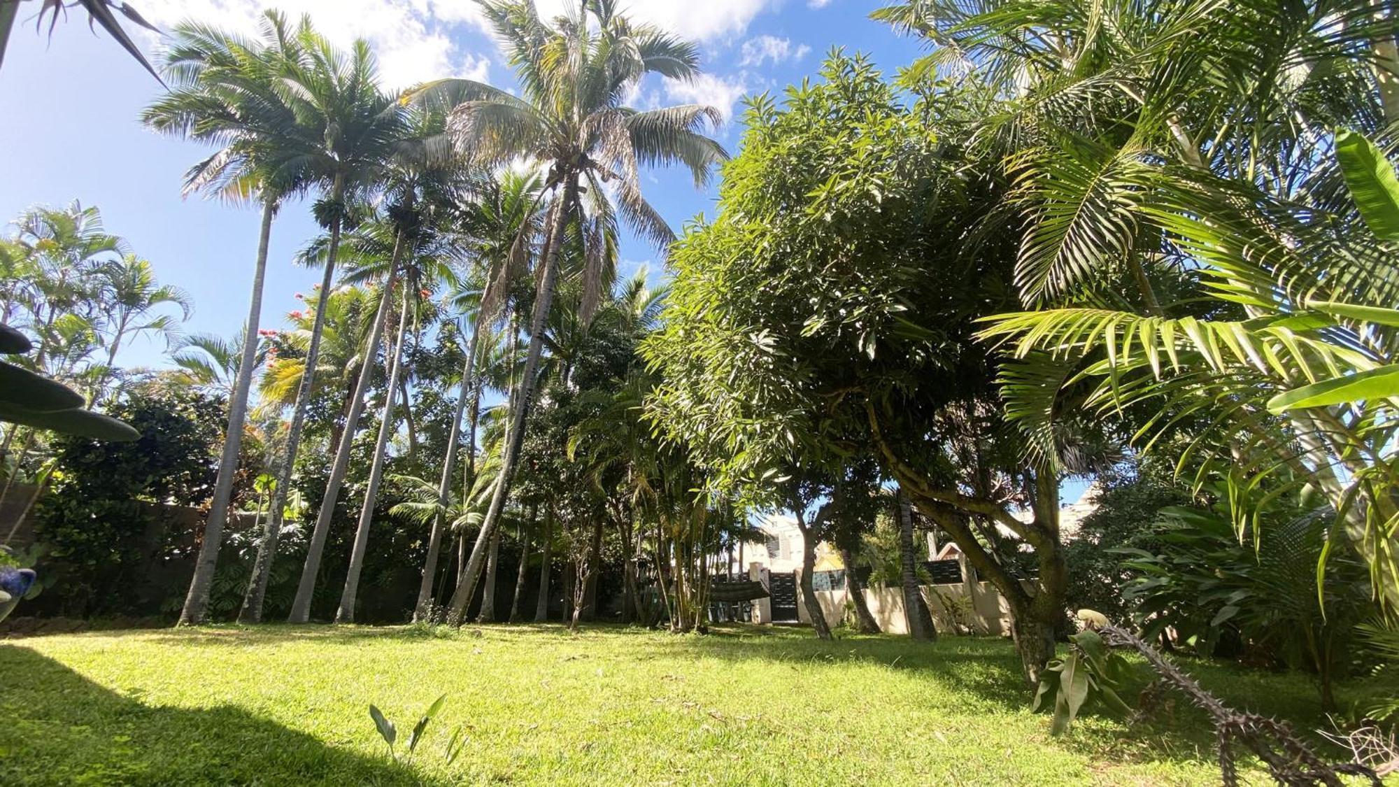 Coliver - Coliving A La Reunion แซ็ง-ปีแยร์ ภายนอก รูปภาพ