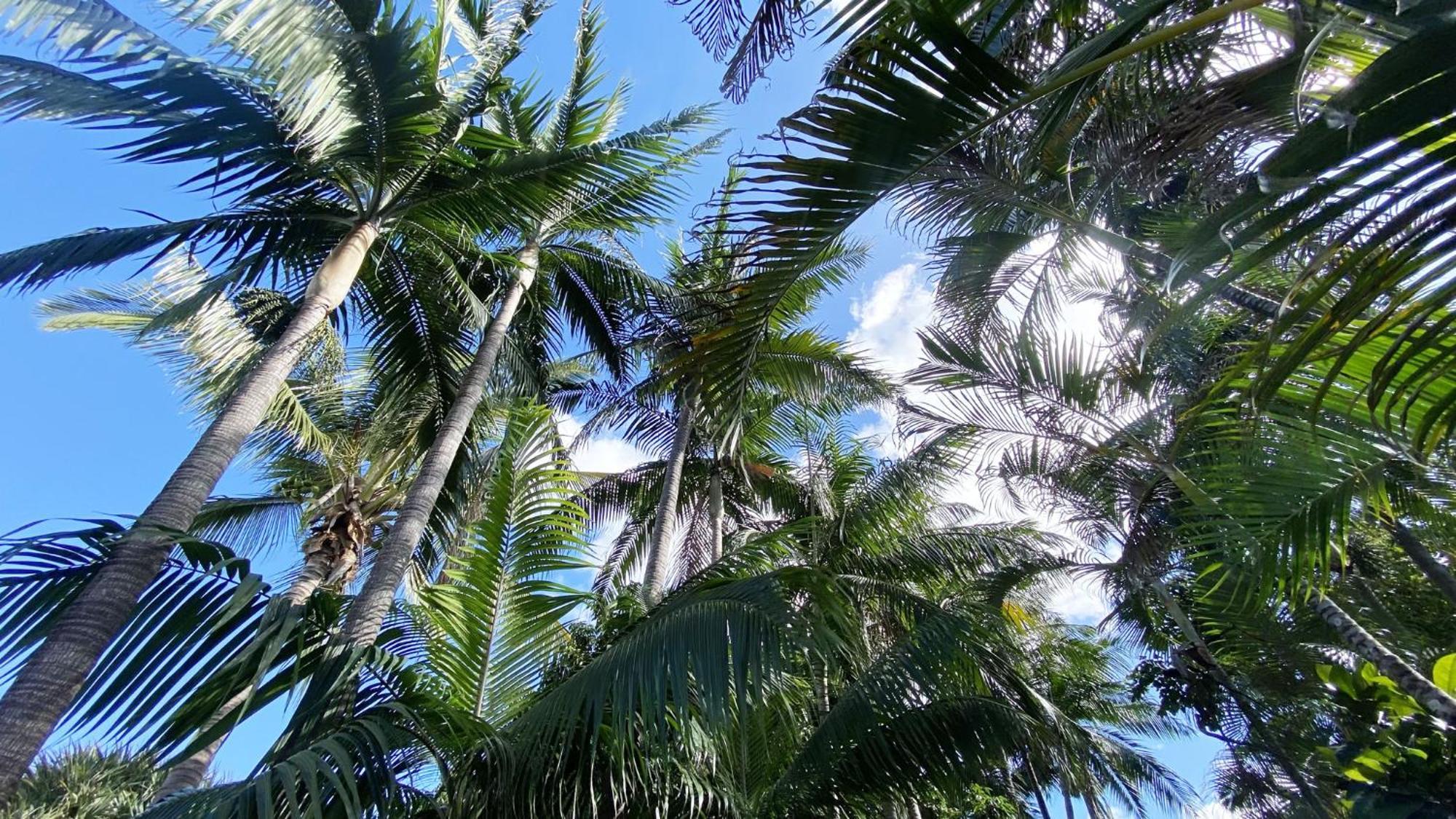 Coliver - Coliving A La Reunion แซ็ง-ปีแยร์ ภายนอก รูปภาพ