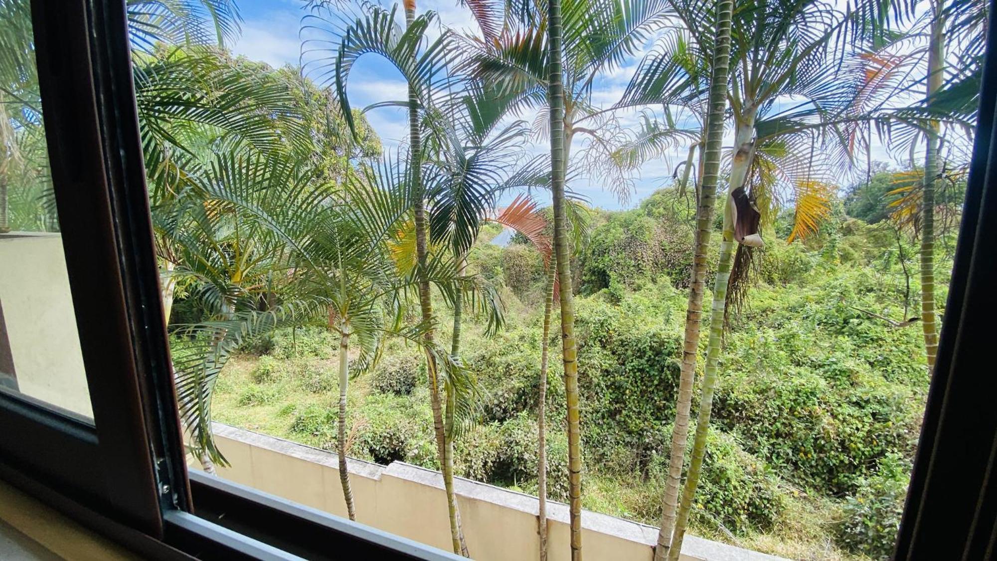 Coliver - Coliving A La Reunion แซ็ง-ปีแยร์ ภายนอก รูปภาพ